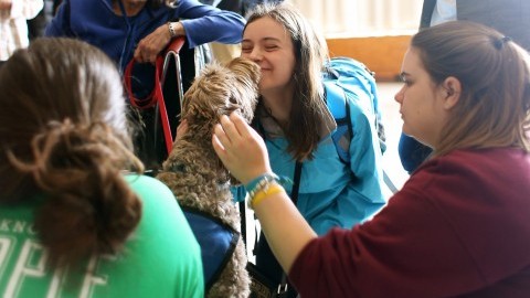 The paws program returned to the UMass campus on Monday April 27 to help student de-stress as finals week approaches. Photo by Robert Rigo.