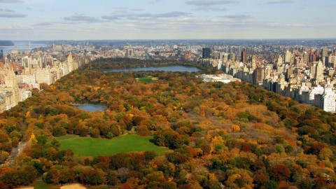 Official Central Park Facebook Page