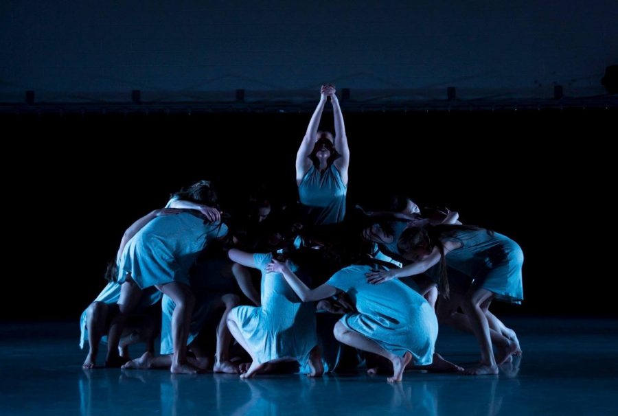 Remembrance through dance: an interview with Leah Calabro