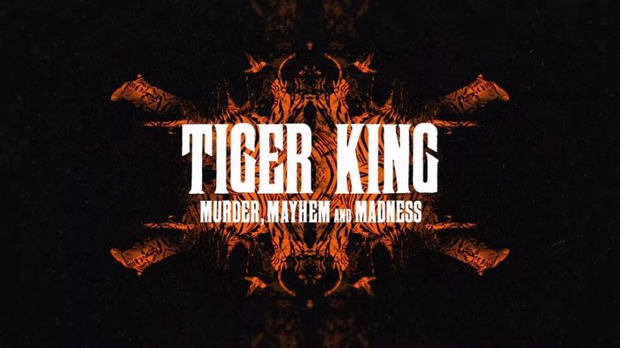 Courtesy+of+Tiger+King+IMDB+page