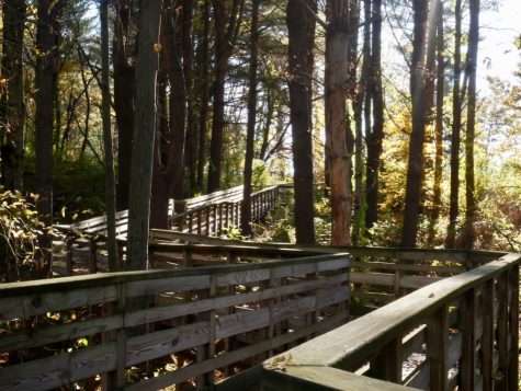 Five Pioneer Valley nature walks to visit before the winter hits