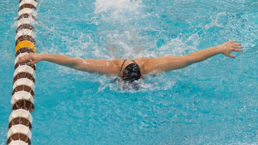 Swim and dive: Minutemen and Minutewomen sweep meet against Bryant