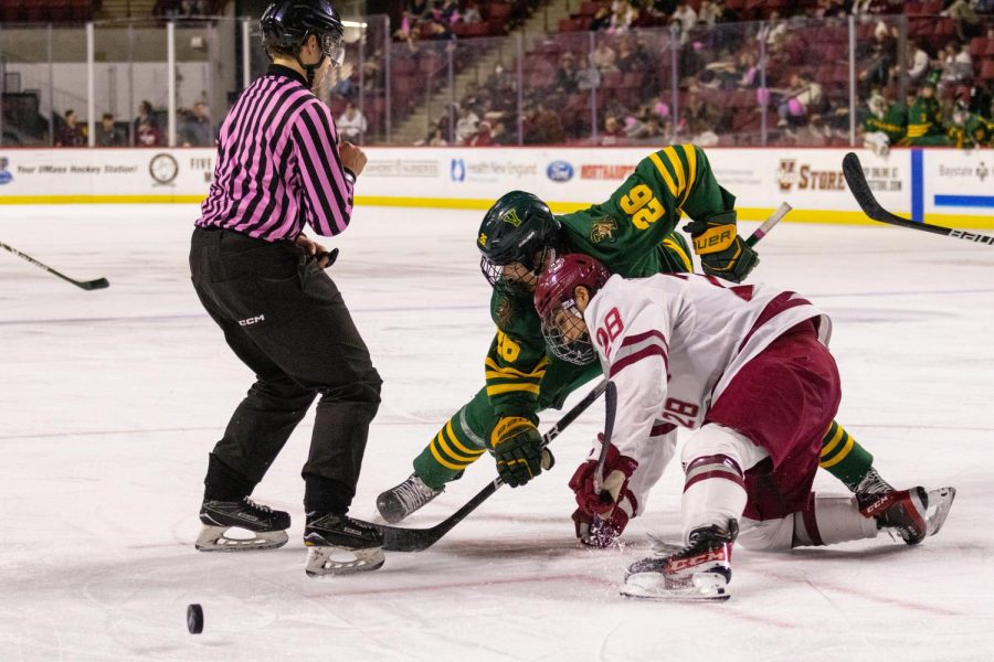 Two ice hockey players, one from Vermont, and the other from UMass lunge towards the puck. Referee stands between them and the puck and is in immediate danger of colliding with the players.