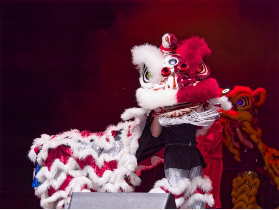 UMass Lion Dance Club opening Asian Night. Dylan Nguyen / Daily Collegian.