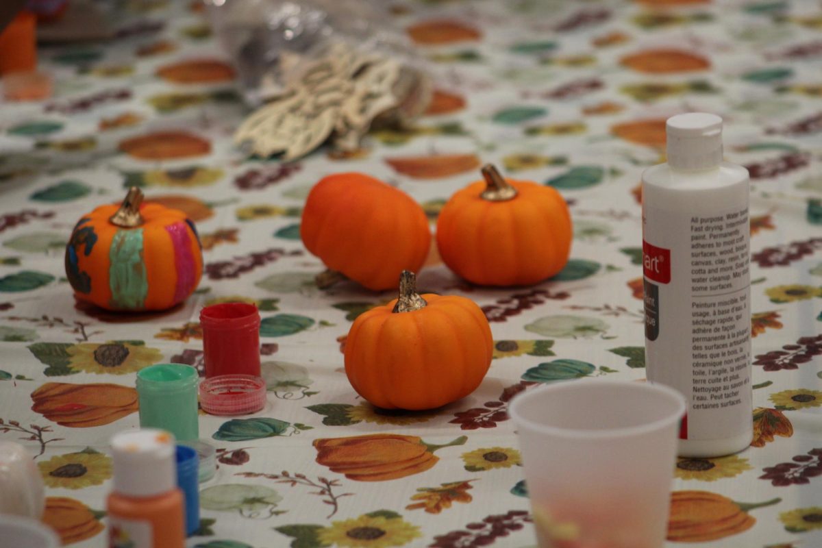 How UMass takes steps towards sustainability at Halloween