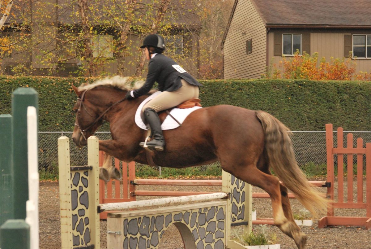 UMass Dressage Team creates a community for all students